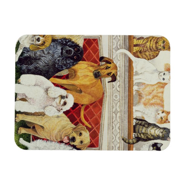 Great Expectations Magnet (Horizontal)