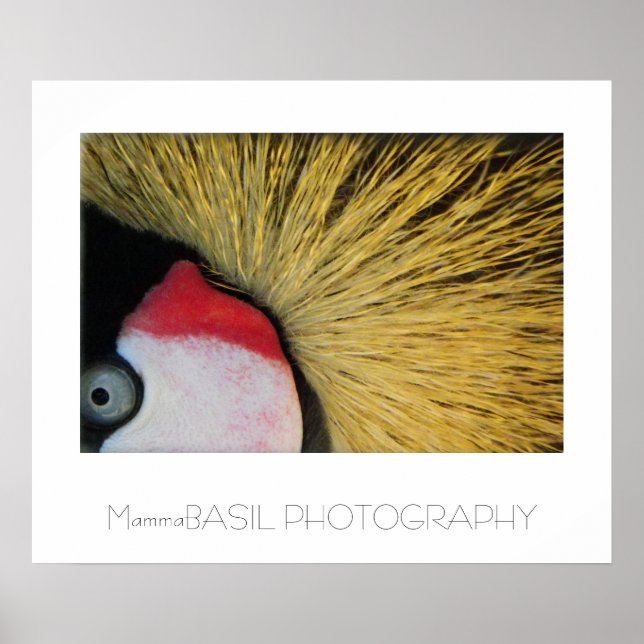 Great Eye Poster! Poster (Front)