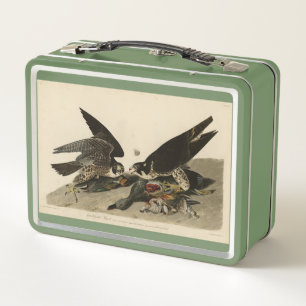Great-footed Hawk from Audubon's Birds of America Metal Lunch Box