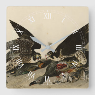 Great-footed Hawk from Audubon's Birds of America Square Wall Clock