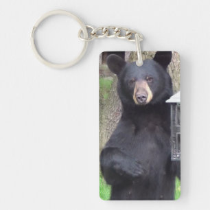 Great Gentle Bear   Key Ring