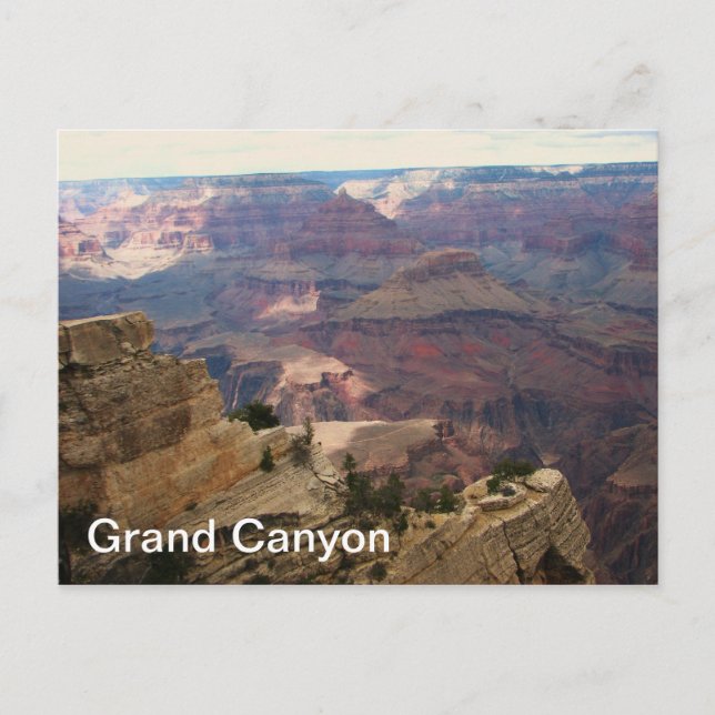 Great Grand Canyon Postcard! Postcard (Front)