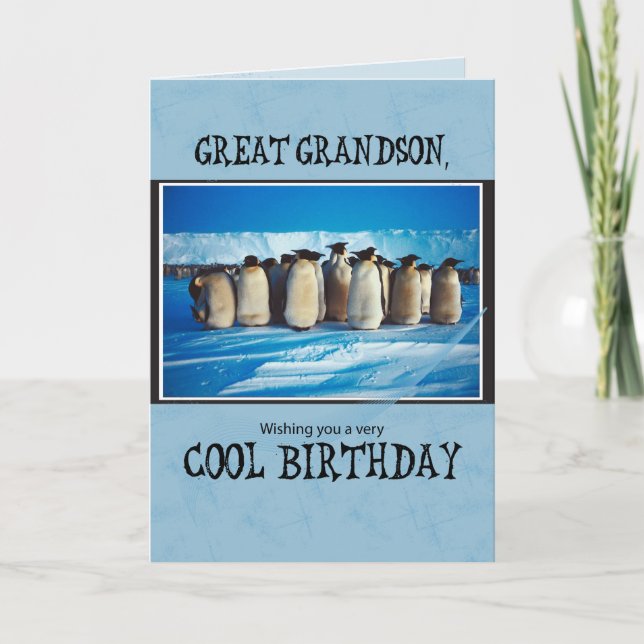 Great Grandson Birthday, Penguins Card (Front)