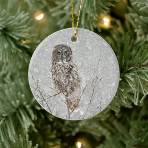 Great Gray Owl in Winter Ceramic Tree Decoration