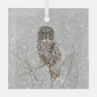 Great Gray Owl in Winter Glass Tree Decoration
