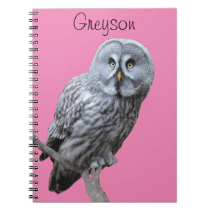 Great Gray Owl Notebook