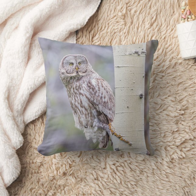 Great Grey Aspen Tree Branch Cushion (Blanket)