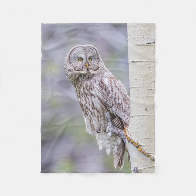 Great Grey Aspen Tree Branch Fleece Blanket (Front)