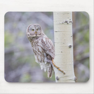 Great Grey Aspen Tree Branch Mouse Mat