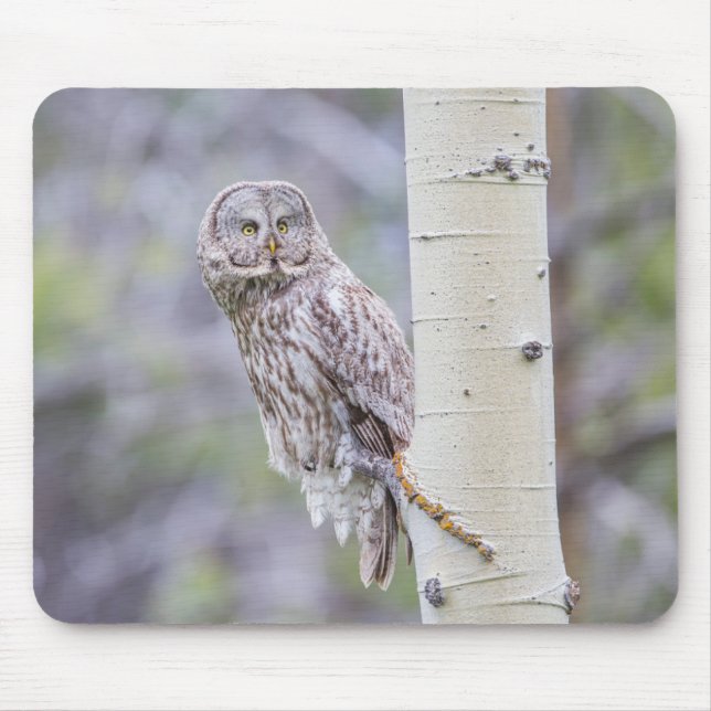Great Grey Aspen Tree Branch Mouse Mat (Front)