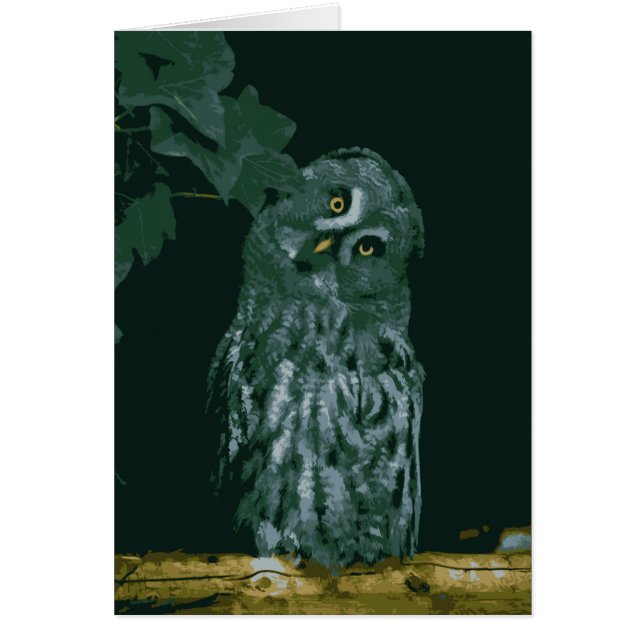 Great Grey Owl (Front)