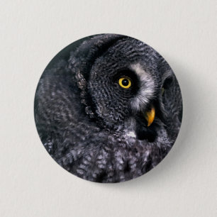 Great Grey Owl 6 Cm Round Badge