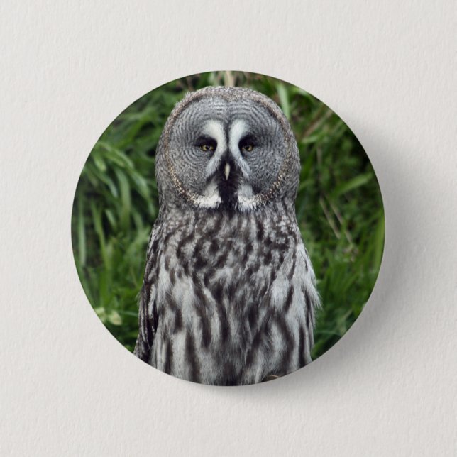 Great Grey Owl 6 Cm Round Badge (Front)