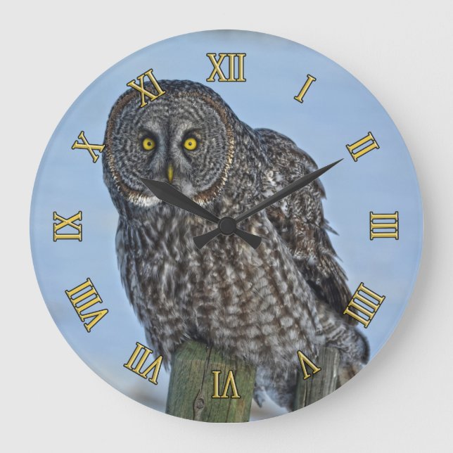 Great Grey Owl and Fence Post Wildlife Photo Large Clock (Front)