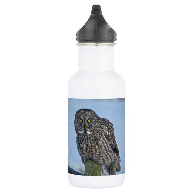 Great Grey Owl and Snow Wildlife Raptor Photo 532 Ml Water Bottle (Right)