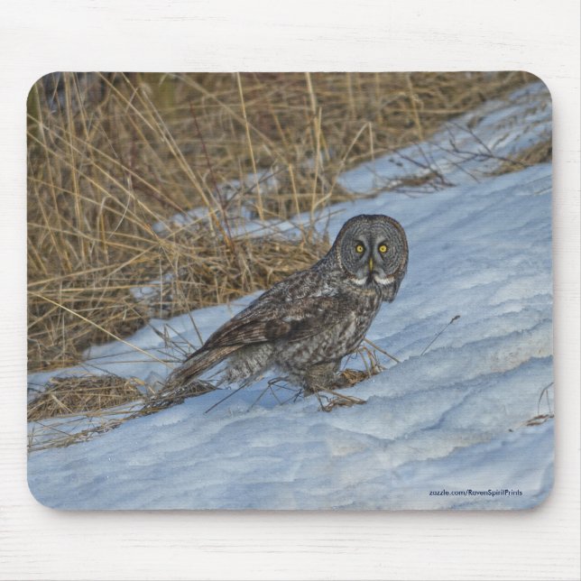 Great Grey Owl and Snow Wildlife Raptor Photo Mouse Mat (Front)