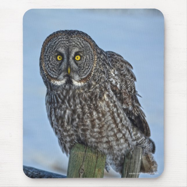 Great Grey Owl and Snow Wildlife Raptor Photo Mouse Mat (Front)