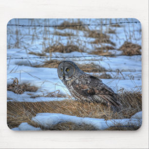 Great Grey Owl and Snow Wildlife Raptor Photo Mouse Mat