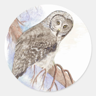 Great Grey Owl, Bird, Nature, Wildlife, Sticker