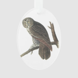 Great Grey Owl by Audubon Ornament