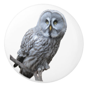Great Grey Owl Ceramic Knob