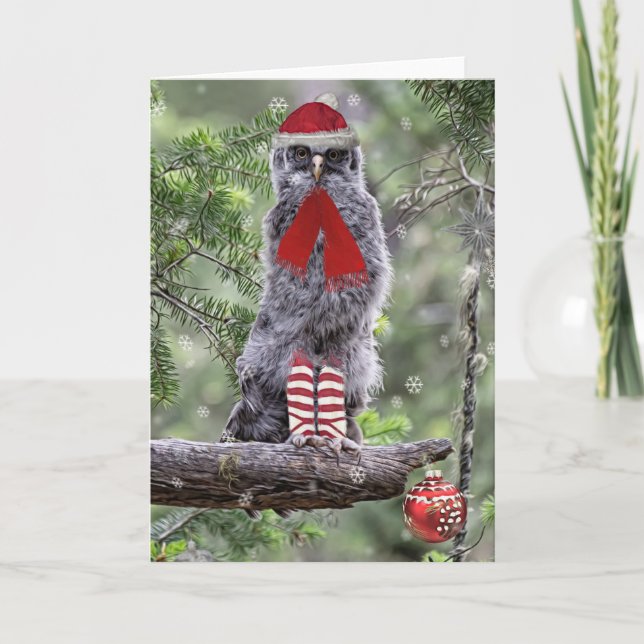 Great Grey Owl Chick Christmas Holiday Card (Front)