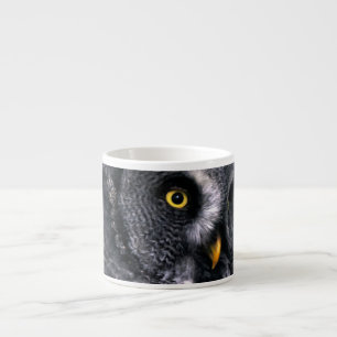 Great Grey Owl Espresso Cup