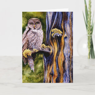 Great Grey Owl, Greeting Card