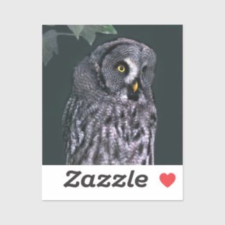 Great Grey Owl Halloween Wildlife Art