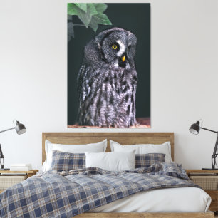 Great Grey Owl Halloween Wildlife Art Canvas Print