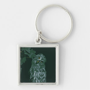 Great Grey Owl Key Ring