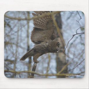 Great Grey Owl Launching in Forest Wildlife Photo Mouse Mat