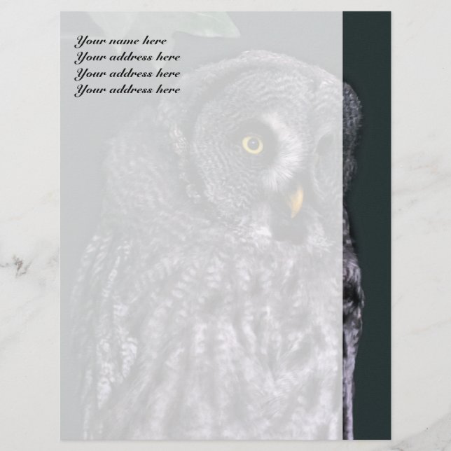 Great Grey Owl Letterhead Template (Front)