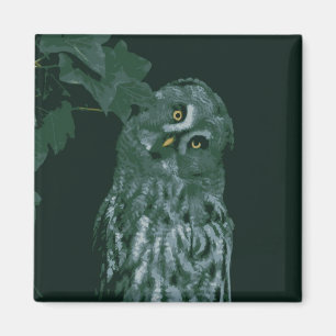 Great Grey Owl Magnet