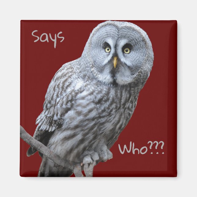 Great Grey Owl Magnet (Front)