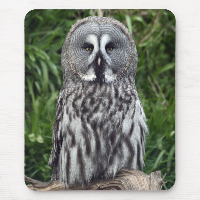 Great Grey Owl Mouse Mat (Front)