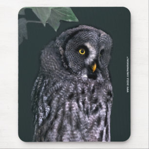 Great Grey Owl Mouse Mat
