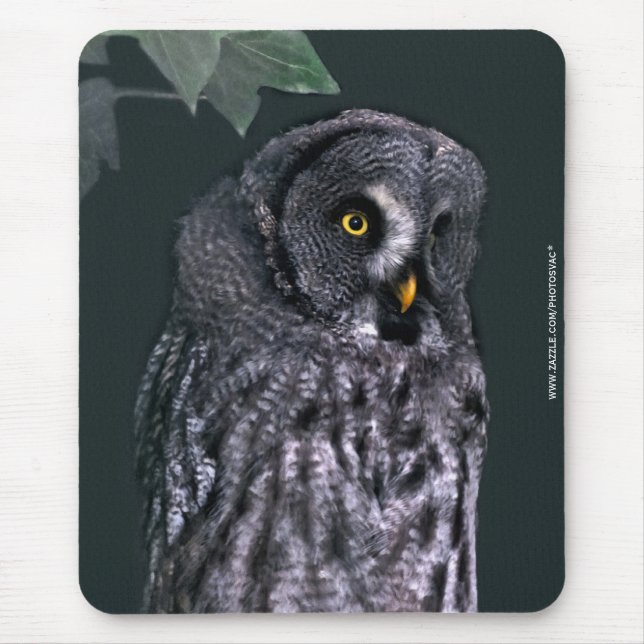 Great Grey Owl Mouse Mat (Front)