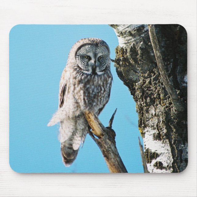 Great Grey Owl Mousepad (Front)