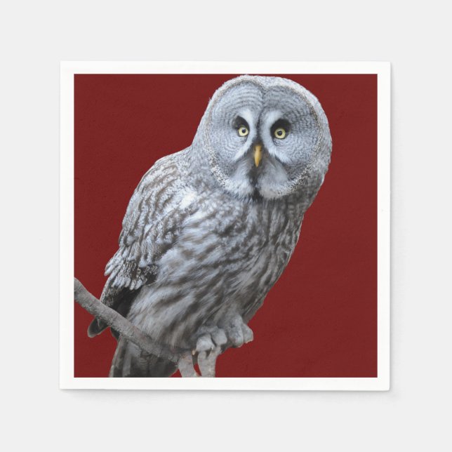Great Grey Owl Napkin (Front)
