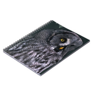 Great Grey Owl Notebook