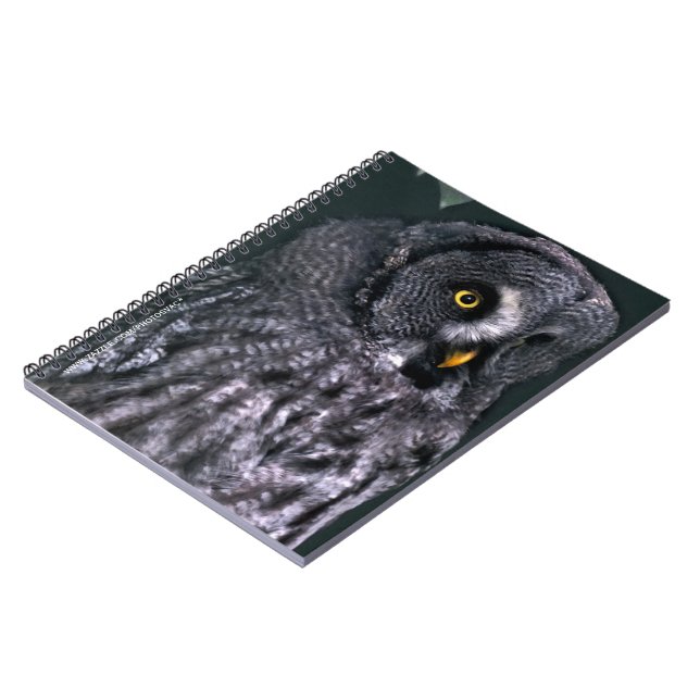 Great Grey Owl Notebook (Left Side)