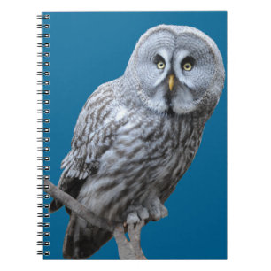 Great Grey Owl Notebook