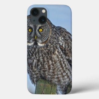 Great Grey Owl On a Fence Wildlife Photo Portrait iPhone 13 Case