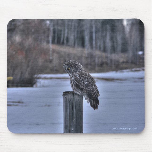 Great Grey Owl on Fence Post Winter Wildlife Photo Mouse Mat (Front)