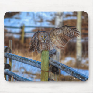 Great Grey Owl on Fence Wildlife Raptor Photo Mouse Mat