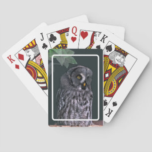Great Grey Owl Playing Cards