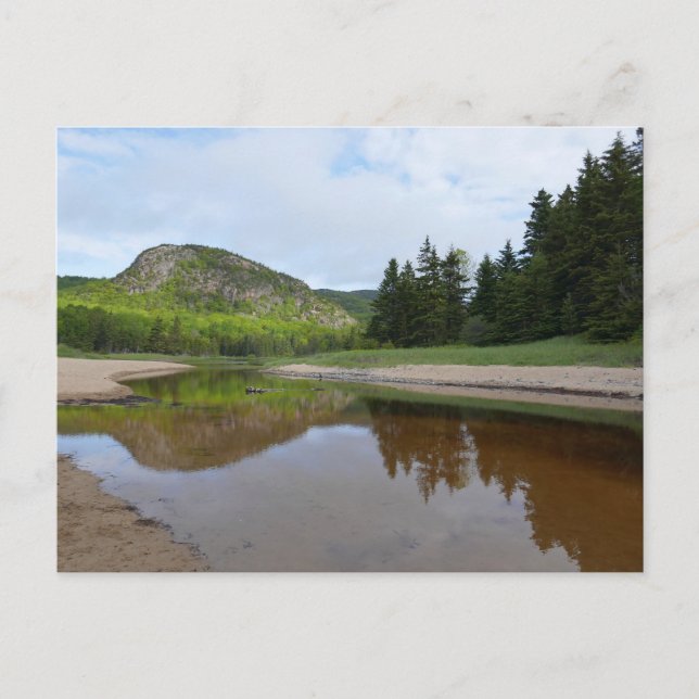 Great Head Reflection at Sand Beach Postcard (Front)