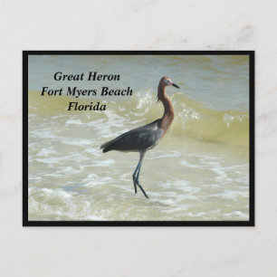 Great Heron Holiday Postcard