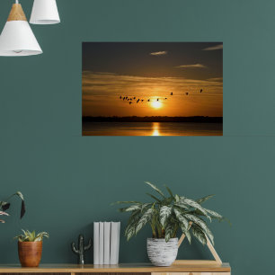 Great Herons At Sunset Poster